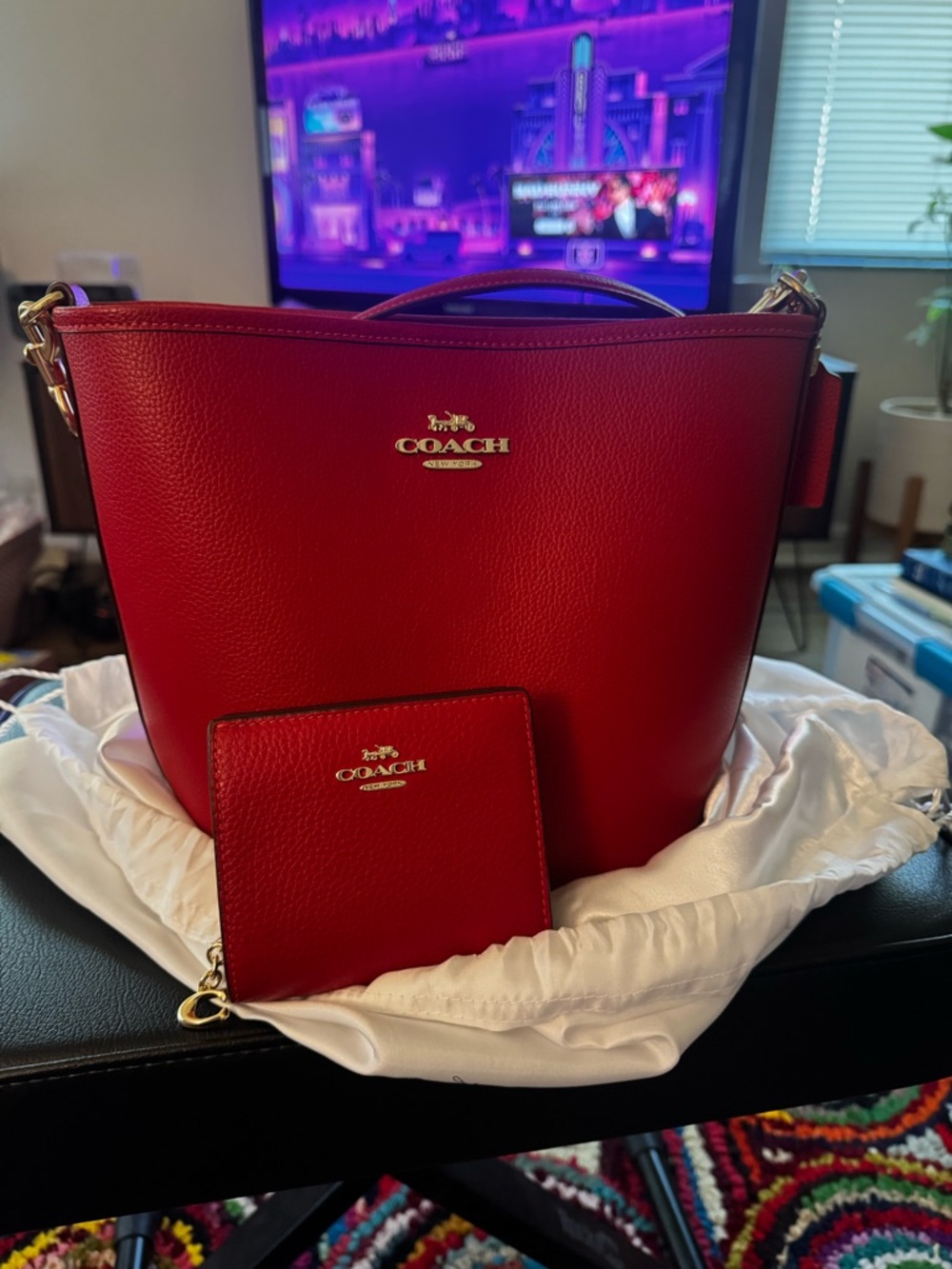 Coach City Bucket Tote with Matching Wallet